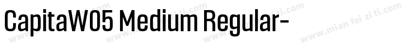 CapitaW05 Medium Regular字体转换